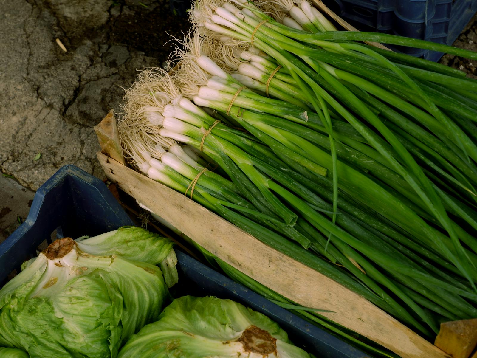 Fresh green vegetables packed in crates